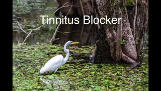 Tinnitus Blocker 10 Hours Nature Sounds