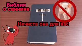 Где в Библии написано что нельзя есть свинину ?