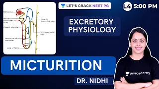 Excretory Physiology | Micturition | NEET PG 2021 | Dr. Nidhi