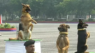 Amazing dogs trained by BSF display their skills before minister Anurag Singh Thakur