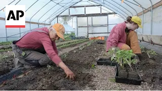 Small farmers adapt to increase in spring rains