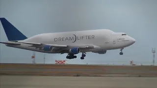 Boeing Dreamlifter vs Airbus Beluga XL | Landing and Takeoff