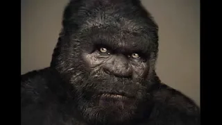 The Most Compelling Bigfoot Footage