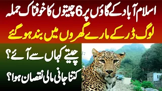 Islamabad Ke Village Me 6 Cheetahs Ka Hamla - Log Dar K Mare Gharon Me Band - Cheeta Kahan Se Aaye?
