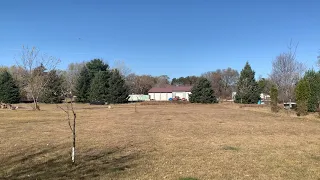 CN mixed train with ore cars