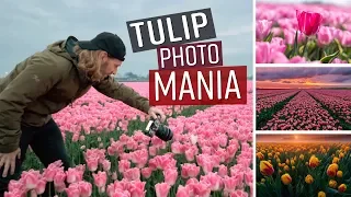 Best Tulip Photos In Amsterdam  - Moments In Time Ep 8