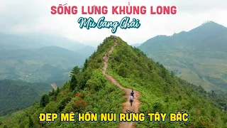 CHINH PHỤC SỐNG LƯNG KHỦNG LONG MÙ CANG CHẢI | Khám phá vẻ đẹp mê hồn của Tây Bắc