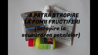 TRATAMENT POMI FRUCTIFERI DUPA INFLORIRE (Stropire la scuturarea petalelor)