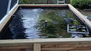 DIY Koi pond barrel filter.