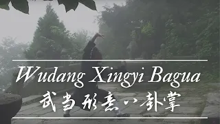 Wudang Xing Yi Ba Gua Zhan 武当形意八卦掌 - Xiao Jian 萧剑  -