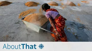 Why India's rice ban could cause a global food crisis | About That