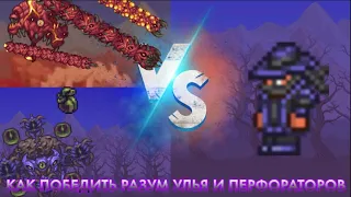 Как убить Разум Улья или Перфораторов за Призывателя? Terraria Calamity Mod