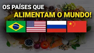 Os 5 países que mais produzem alimentos no mundo