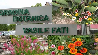 Gradina Botanică din Jibou județul Sălaj o frumoasă atracție turistică