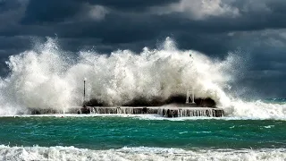 ENTENDER LA MAREA - Documental en español