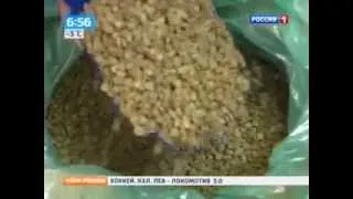 купить ягоды годжи  в украине