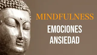 Meditación Guiada para Gestionar las Emociones y la Ansiedad