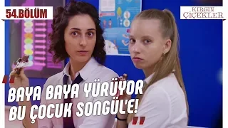 Songül’e aşık olan Mert! - Kırgın Çiçekler 54.Bölüm