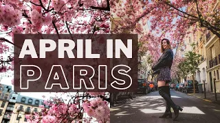 A Vlog of a Day in My Life in Paris (April Cherry Blossom Hunting)