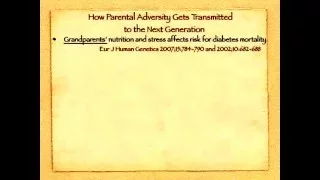 Effects of Early Life Experience on Diabetes Risk: Fetal Origins