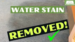 Difficult Water Stain Removal - Borehamwood Carpet Cleaning