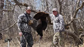 Big Gobbler Down! (Manitoba Turkey Hunt)