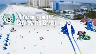 8 Reasons Why Clearwater Beach is #1