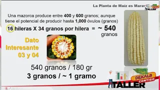 Taller: "Nutrición en el cultivo de maíz", para las regiones Valles Altos y Sureste.