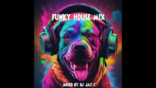 Best Funky House Mix 2023 | #7 | ♫ Greatest Funky & Disco Remixes #funkyhouse #housemusic #disco