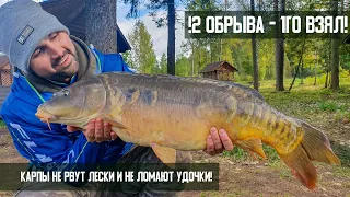 Flat Feeder | Как мы соблазняли ОГРОМНОГО карпа на поклевку?! | В погоне за осенним трофеем. Часть 2