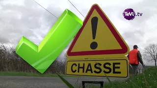 La Chasse dans la Manche : Sécurité en action de chasse