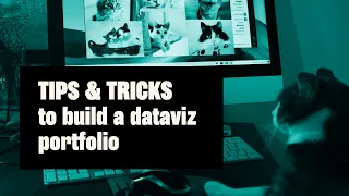 Creating a Killer DataViz Portfolio: Tips and Tricks - The Elevate Data Visualization Show