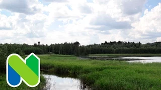 Nastolan alue - Uusikylä, Sylvöjärven uimapaikka ja lintutorni