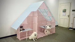 How to make a single house for Pomeranian dogs and Baby cats