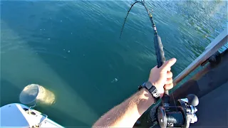 YES PLEASE - NC Flounder and Sheepshead Fishing