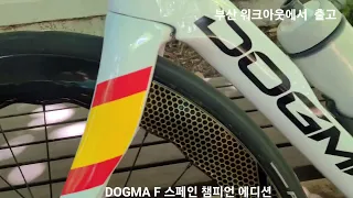 #dogma f  Spain champion edition #도그마 f스페인  챔피언 에디션 한정판 #워크아웃 출고