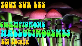 Tout savoir sur les CHAMPIGNONS HALLUCINOGÈNES en 10min