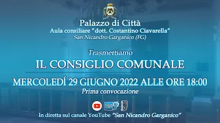 Consiglio Comunale 29 Giugno 2022 | San Nicandro Garganico (FG)