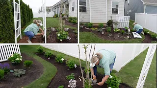 ARBORVITAE UPDATE+ PLANTING MORE PROVEN WINNERS! 🌲🌺