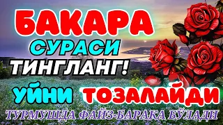 Бақара сураси Уйга ШАЙТОН кирмайди !!! Baqara surasi БАКАРА BAQARAH | БУ СУРАНИ УҚИНГ