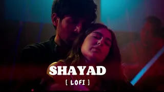 Shayad ( Lofi )  | Arijit Singh | Bollywood Lofi