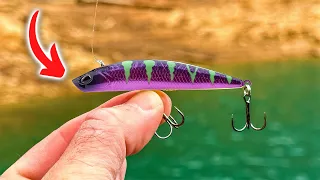 THIS Bait is SO SIMPLE But BLEW My Mind (Berkley Finisher)