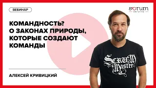 Командность? 15-минутное видео о законах природы, которые создают команды.