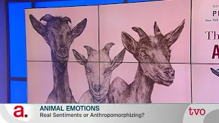 Animal Emotions