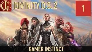 ПРОХОЖДЕНИЕ DIVINITY ORIGINAL SIN 2 | ЧАСТЬ 1 - ПЛЕННИКИ СТИХИИ