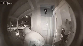 Harbor City burglars caught on video