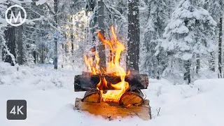 Forest Campfire Winter 🔥 Natural Ambience with Crackling Fireplace Sounds - 3 hours 4K