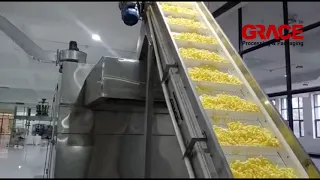 Extruded Corn Puffs Snack Production Line | www.GraceFoodPack.com