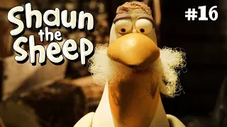 The Pelican | Shaun the Sheep Season 4 | Full Episode