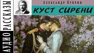 Александр Куприн "Куст сирени" |   🎧   Аудио рассказ